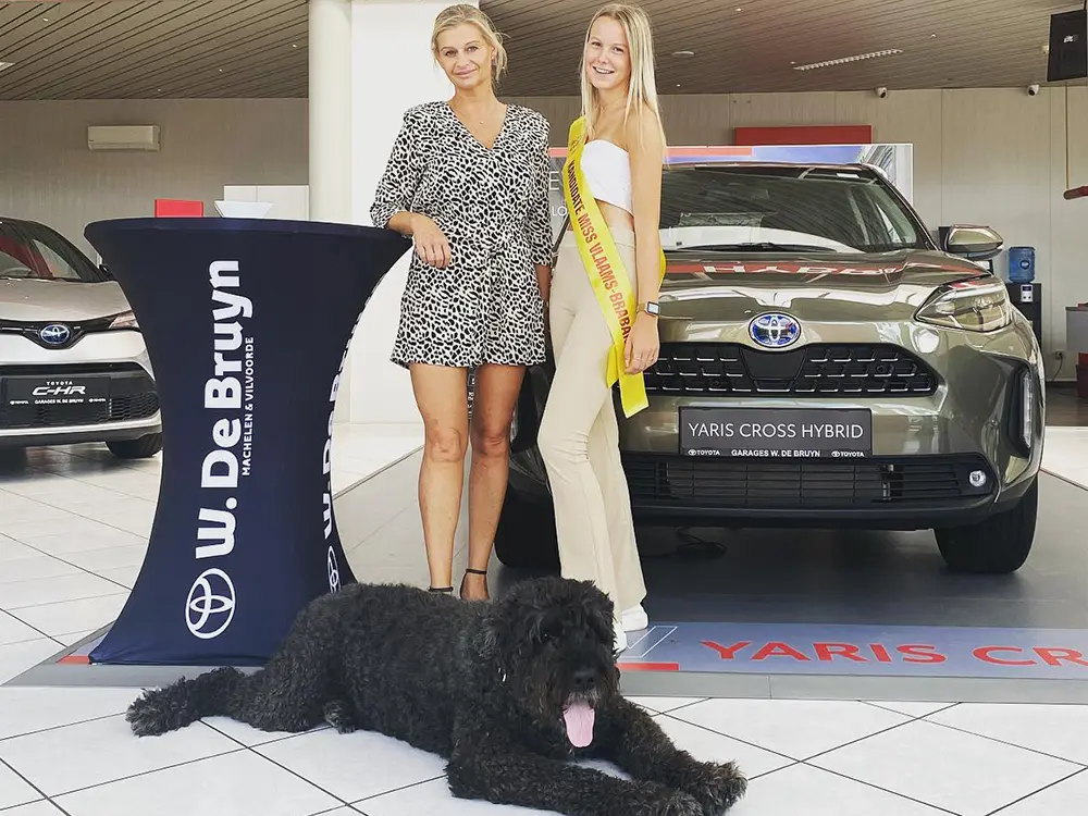 ToyotaDeBruyn_StatafelHoes.webp