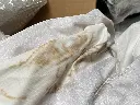 stertent-gele-vlekken.webp